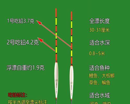 立漂钓鱼技巧教程（精通立漂钓鱼）