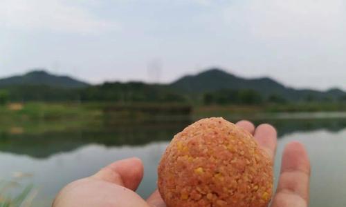 立秋钓鱼技巧教学（夏末鱼儿欢畅）