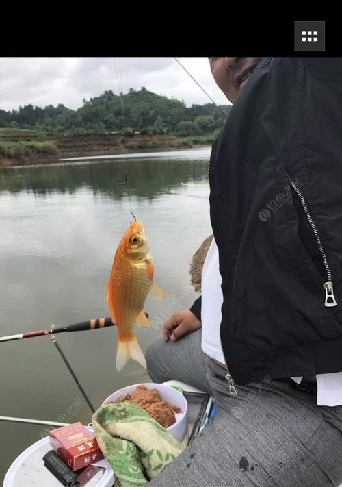 立秋后钓草鱼的技巧（掌握合适的时间和地点）