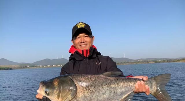 立秋后野钓鲢鳙技巧（夏末秋初）