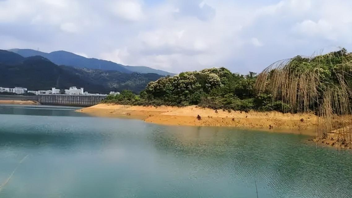 立夏钓鱼技巧大揭秘（三大技巧助您立夏钓鱼轻松有余）