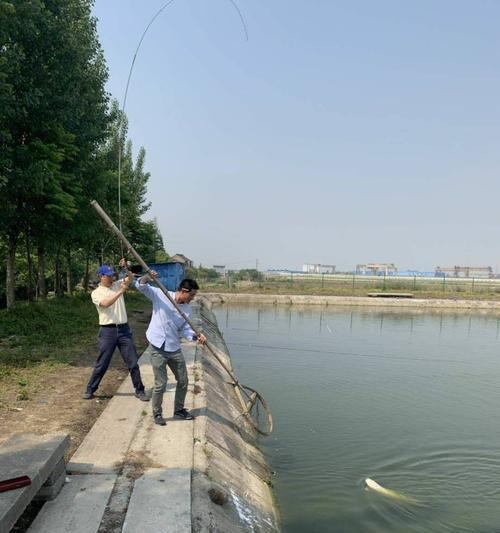 立夏后钓鱼技巧与方法（提高立夏钓鱼效果的实用经验分享）