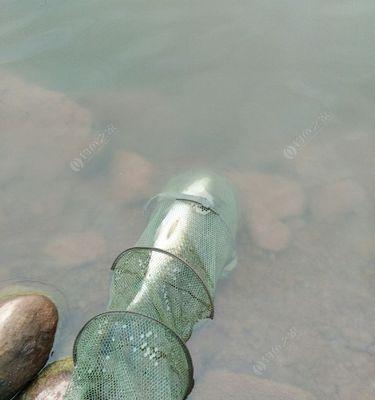 立夏后雨后钓鱼的技巧与方法（丰收季节）