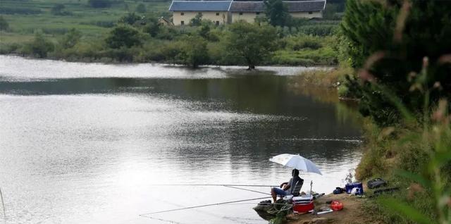 立夏前河流钓鱼技巧（揭秘钓鱼高手的捕鱼宝典）