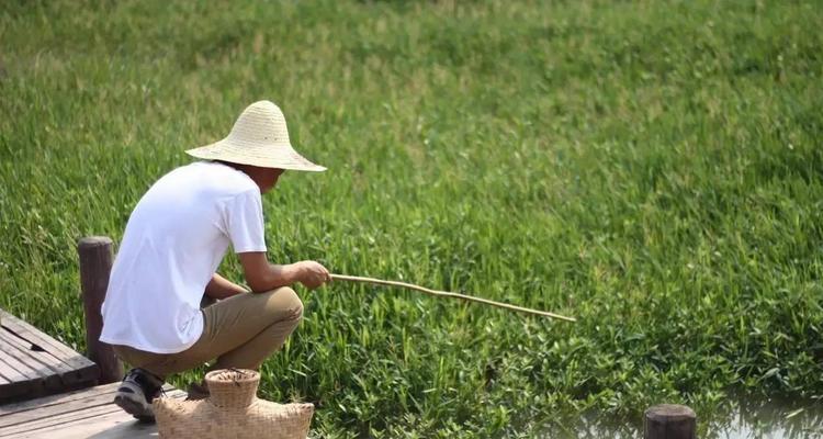 立夏后的钓鱼技巧（钓鱼爱好者必知的立夏钓鱼经验分享）