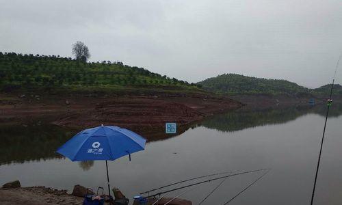 连续大雨过后的钓鱼技巧（应对恶劣天气）