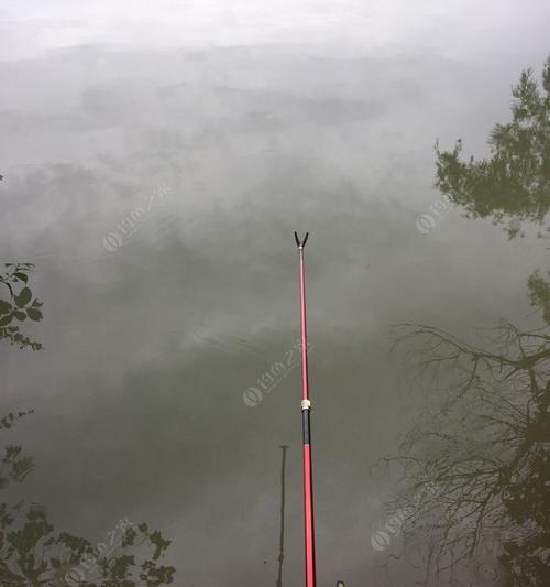 雨中垂钓的技巧与窍门（连续下大雨的钓鱼经验分享）