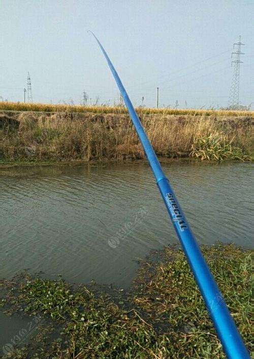 连续雨天钓鱼技巧与方法（提高成功率的秘密及实用指南）