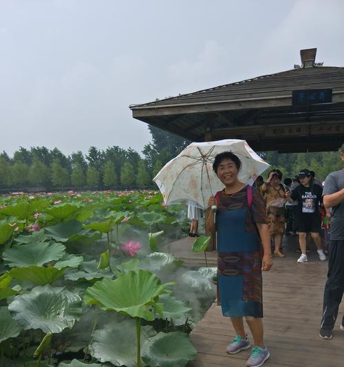 莲花池钓鱼技巧大揭秘（掌握莲花池钓鱼的绝佳技巧）