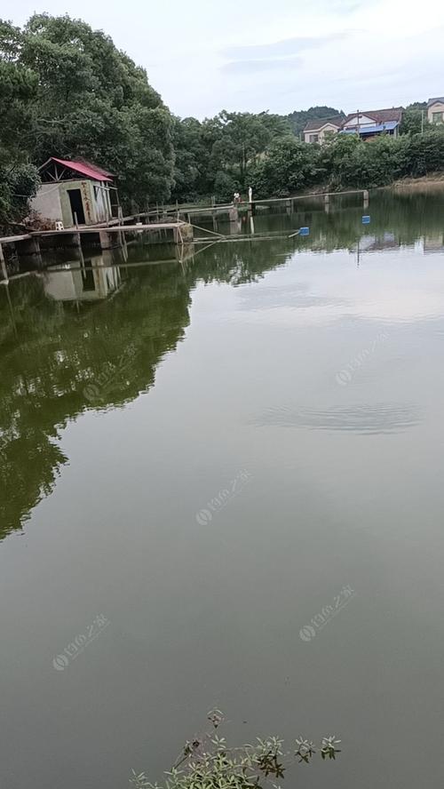 粮食鱼池钓鱼技巧与方法（享受钓鱼乐趣）