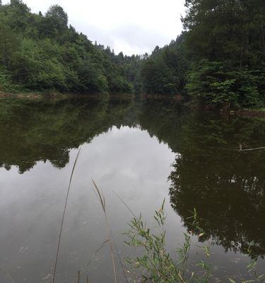 粮食鱼池钓鱼技巧全攻略（如何在粮食鱼池中提高钓鱼成功率）