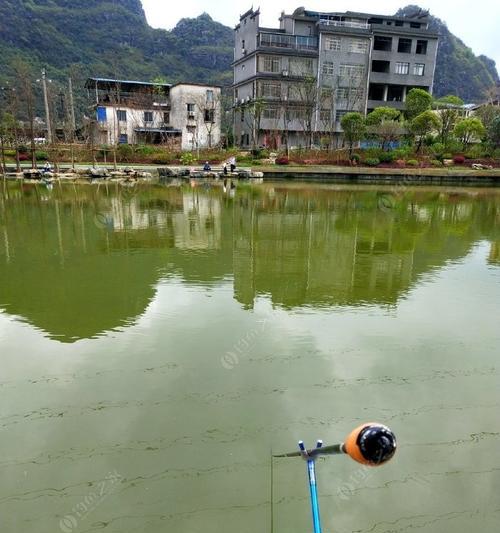 两江四湖钓鱼技巧大揭秘（挑选钓点和饵料是关键）