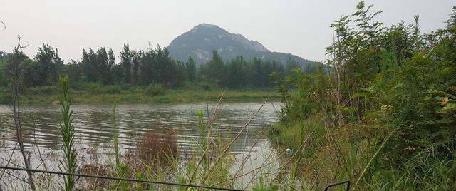 浅水钓鱼技巧大揭秘（钓鱼专家分享两三米水深无水草下的绝招）