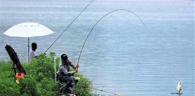 浅水钓鱼技巧大揭秘（钓鱼专家分享两三米水深无水草下的绝招）