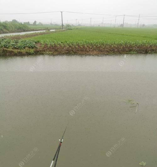 辽河走水钓鱼技巧（掌握辽河走水钓鱼的窍门）