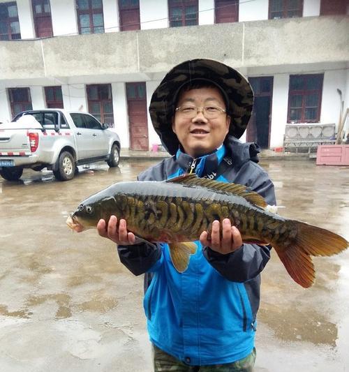 临沧钓鱼比赛技巧——钓鱼高手的秘密揭秘（技巧、经验、装备）