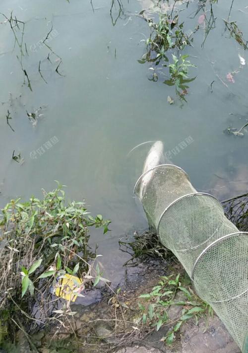 浏阳河垂钓技巧（探秘浏阳河垂钓技巧）