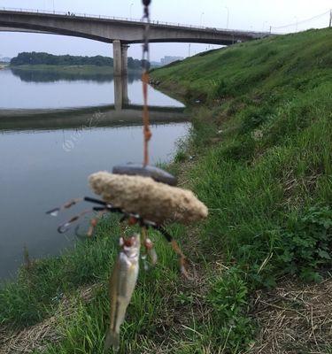 浏阳河垂钓技巧（探秘浏阳河垂钓技巧）