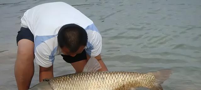 流动大河钓鱼技巧（畅享自然之美）