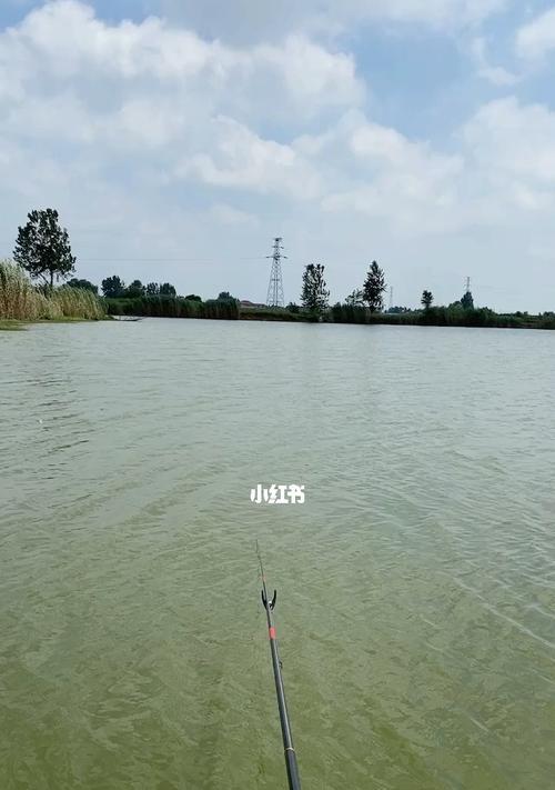 流动河钓鱼的技巧（掌握技巧）