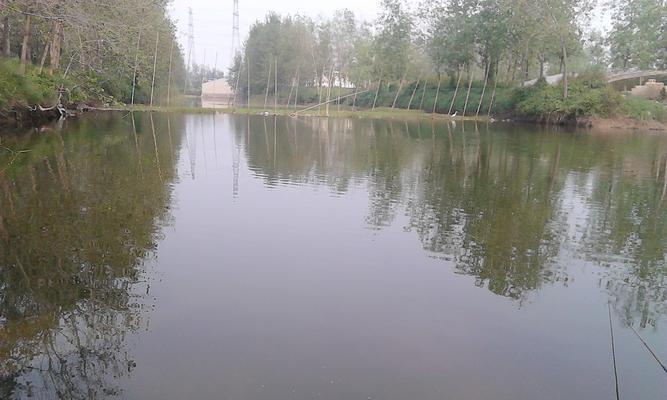 流动河水钓鱼技巧（掌握流水之道）