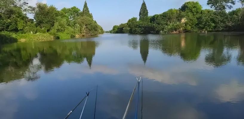 流动浅水钓鱼技巧（掌握水流规律）