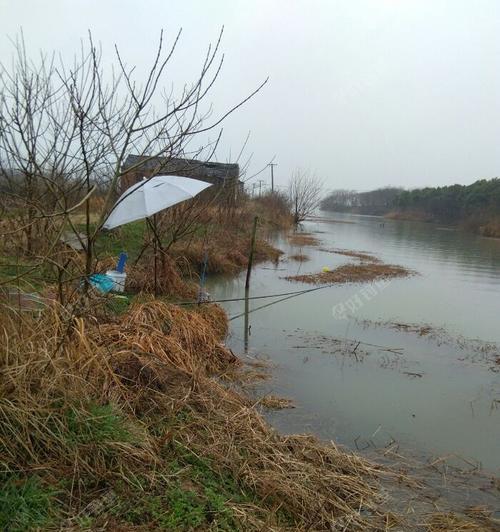 流动浅水钓鱼技巧（掌握水流规律）