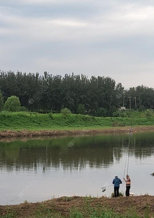 流水钓鱼技巧——享受河边的乐趣（以流动水河边钓鱼技巧为主题的钓鱼指南）