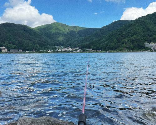 流水钓鱼的技巧与方法（快速掌握流水钓鱼的窍门）