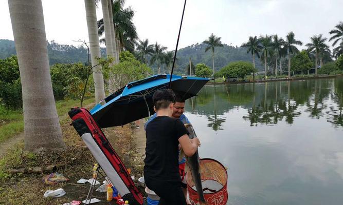 流动水鱼塘钓鱼技巧（享受自然乐趣的钓鱼新方式）