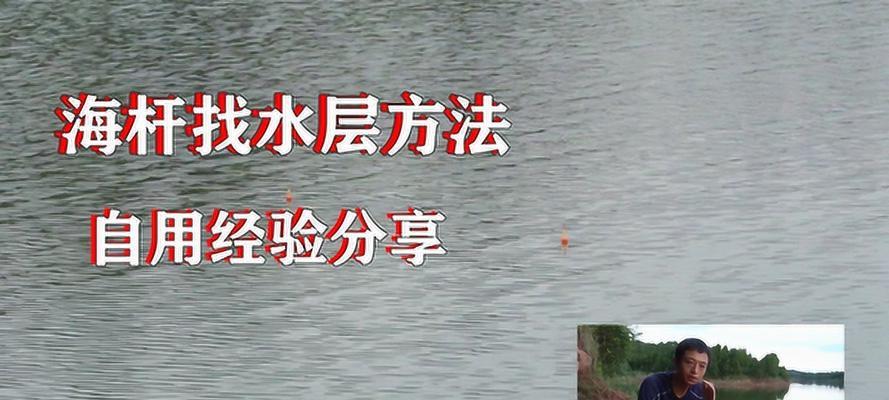 半浮钓鲢鳙的技巧与钓法（掌握流水半浮钓鲢鳙的窍门）