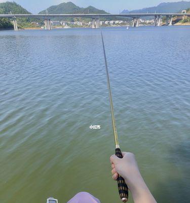 流水垂钓技巧大揭秘（掌握流水垂钓的关键）