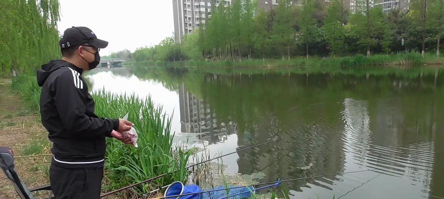 流水搓饵钓鱼技巧（掌握流水搓饵技巧）