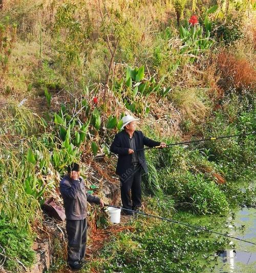 流水钓滑漂技巧（掌握流水钓技巧）