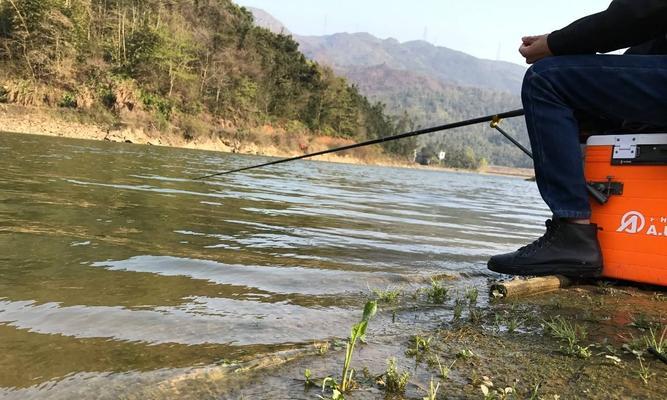 流水钓鲤鱼漂相技巧（掌握鲤鱼漂相）