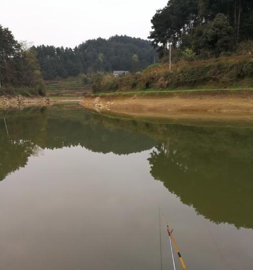 流水钓小鲫鱼的技巧（掌握钓鱼技巧）