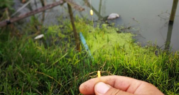 流水钓小鱼调漂技巧（提升钓鱼效果的关键技巧）