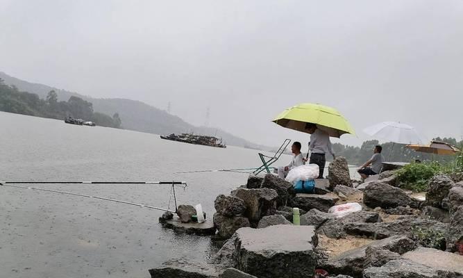 流水钓鱼的技巧与经验（提高钓鱼成功率的关键要素及实践指南）