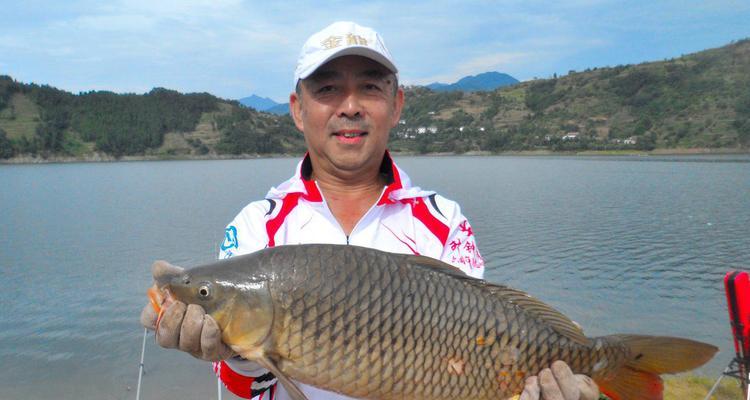 南方初秋野钓鲤鱼技巧（初秋鲤鱼钓法分享）