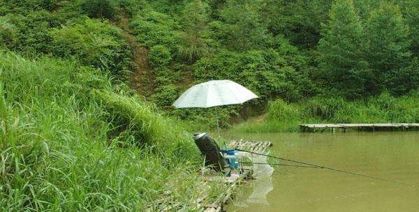 南方冬季钓鱼技巧（钓鱼新手也能轻松应对寒冬）