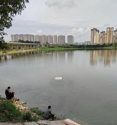 南方冬季大水面钓鱼技巧（南方冬季大水面钓鱼技巧详解）