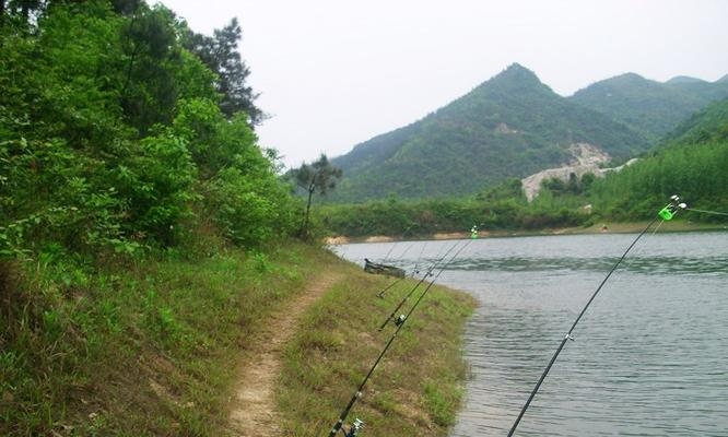 南方冬季钓鱼技巧与钓点（南方冬季钓鱼技巧与钓点一览）