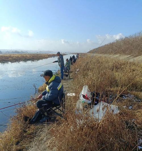 南方冬天野钓鱼技巧（南方冬天钓鱼的实用技巧与经验分享）