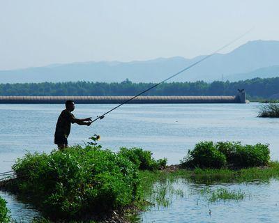 南方谷雨垂钓技巧（揭秘谷雨季节南方垂钓的绝佳窍门）