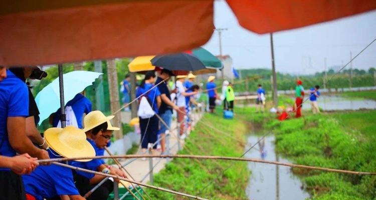 南方五月钓鱼技巧（夏季南方钓鱼攻略）