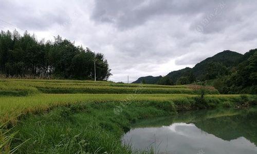 南方秋雨后钓鱼技巧（雨后的宝藏）