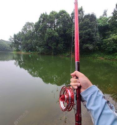 南方秋雨后钓鱼技巧（雨后的宝藏）