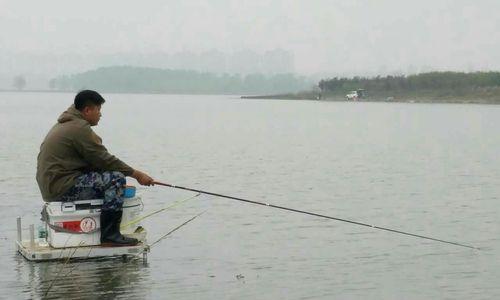 南方水库垂钓技巧（高效钓获技巧与经验分享）