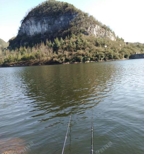 夏季水库钓鱼技巧（南方水库夏季钓鱼必备的技巧与经验）