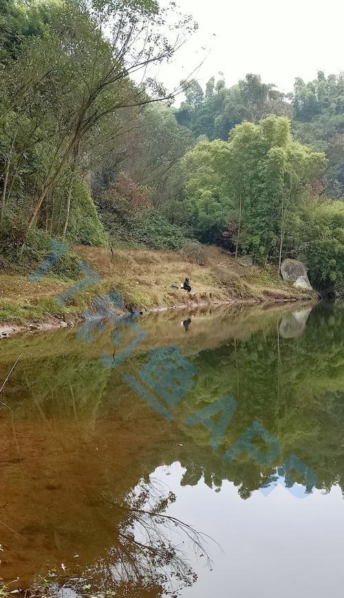 南方小河沟钓鱼技巧（南方小河沟钓鱼技巧大揭秘）